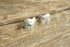 Spirit Bear Sterling Stud Earrings
